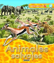 Animales salvajes (Exploradores)