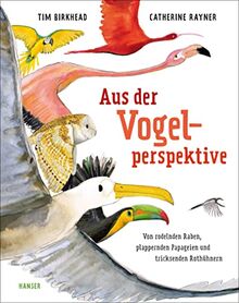 Aus der Vogelperspektive: Von rodelnden Raben, plappernden Papageien und tricksenden Rothühnern