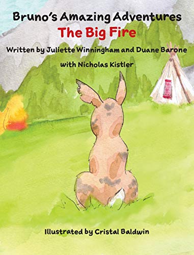 The Big Fire (Bruno's Amazing Adventures, Band 3)