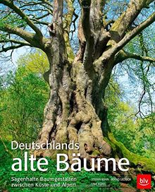 Deutschlands alte Bäume: Sagenhafte Baumgestalten zwischen Küste und Alpen
