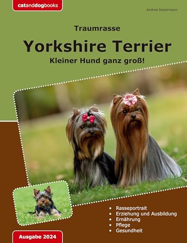 Traumrasse: Yorkshire Terrier: Kleiner Hund ganz groß!