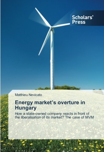 Energy market’s overture in Hungary: How a state-owned company reacts in front of the liberalisation of its market? The case of MVM