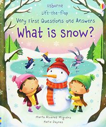 What is Snow? (Very First Lift-the-Flap Questions & Answers)