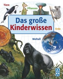 Das große Kinderwissen