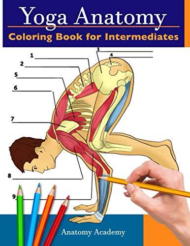 Yoga Anatomy Coloring Book for Intermediates: 50+ Incredibly Detailed Self-Test Intermediate Yoga Poses Color workbook | Perfect Gift for Yoga Instructors, Teachers & Enthusiasts