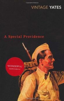 A Special Providence (Vintage Classics)