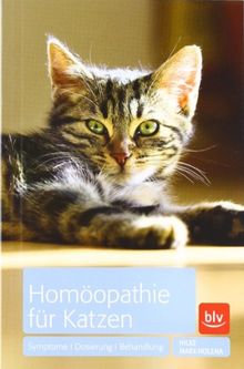 Homöopathie für Katzen: Symptome · Dosierung · Behandlung