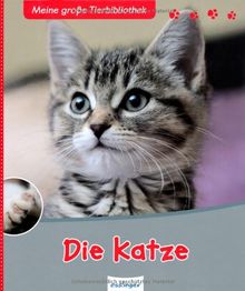 Die Katze