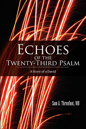 Echoes of the Twenty-Third Psalm: A Story of a David