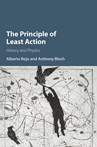 Alberto Rojo The Principle Of Least Action, History And Physics