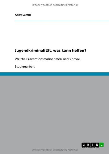 Jugendkriminalität, was kann helfen?: Welche Präventionsmaßnahmen sind sinnvoll