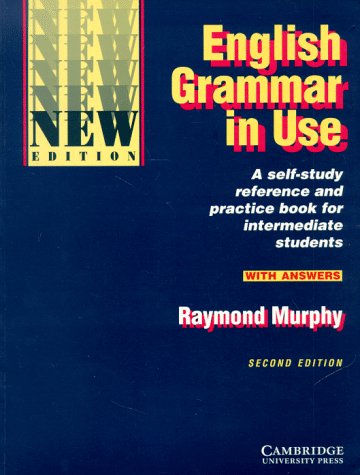 English Grammar In Use New Edition Pdf English Grammar In Use New Edition Pdf