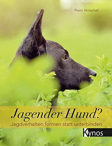 Jagender Hund?: Jagdverhalten formen statt unterbinden