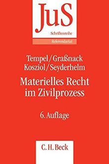 Materielles Recht im Zivilprozess: Schwerpunkte der zivilrichterlichen Praxis (JuS-Schriftenreihe/Referendariat, Band 85)