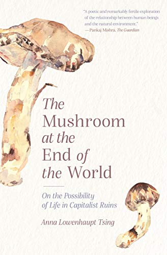 Lowenhaupt Tsing Anna Mushroom At The End Of The World, On The Possibility Of Life In Capitalist Ruins