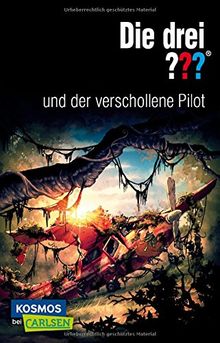 Die drei ???: Die drei ??? und der verschollene Pilot