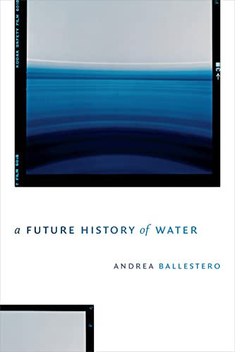 Andrea Ballestero Future History Of Water