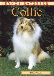 Collie