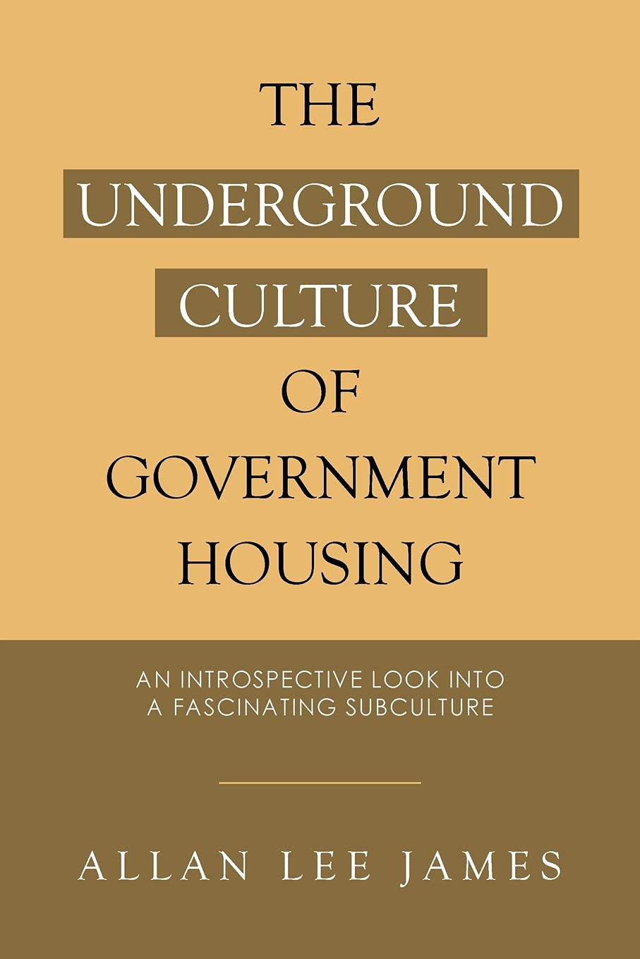 The Underground Culture Of Government Housing: An Introspective Look Into A Fascinating Subculture