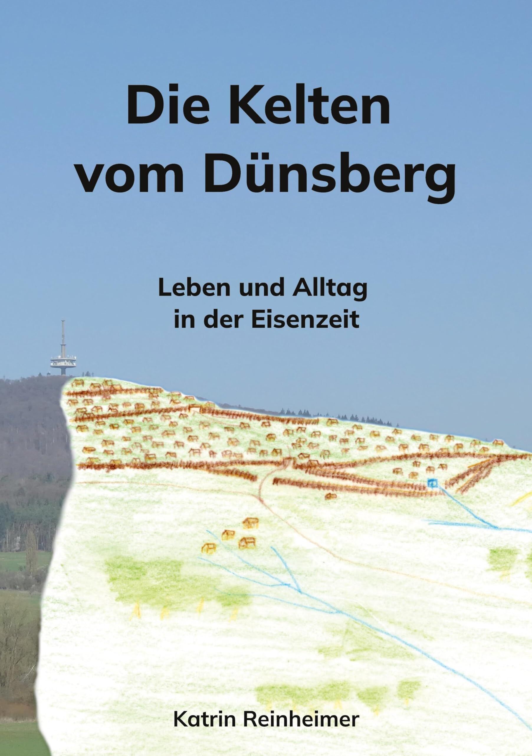 Die Kelten vom Dünsberg - Neuware