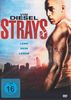 Strays - Lebe dein Leben
