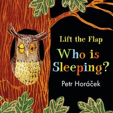 Who Is Sleeping? (A Lift the Flap Book)