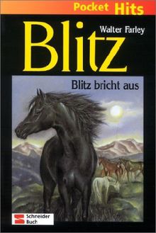 Blitz, Pocket Hits, Bd.5, Blitz bricht aus