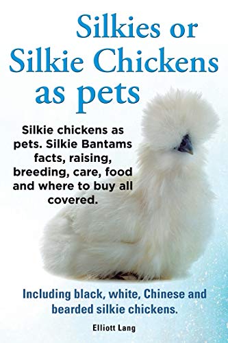 Lang Elliot Silkies Or Silkie Chickens As Pets. Silkie Bantams Facts, Raising, Breeding, Care, Food And Where To Buy All Covered. Including Black, White, Chinese