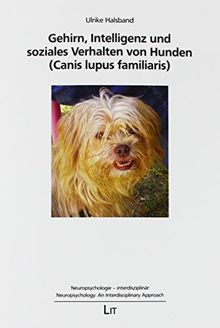 Gehirn, Intelligenz und soziales Verhalten von Hunden (Canis lupus familiaris)