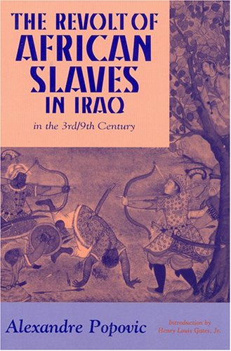 The Revolt of African Slaves in Iraq: in the 3rd/9th Century (Princeton Series on the Middle East)