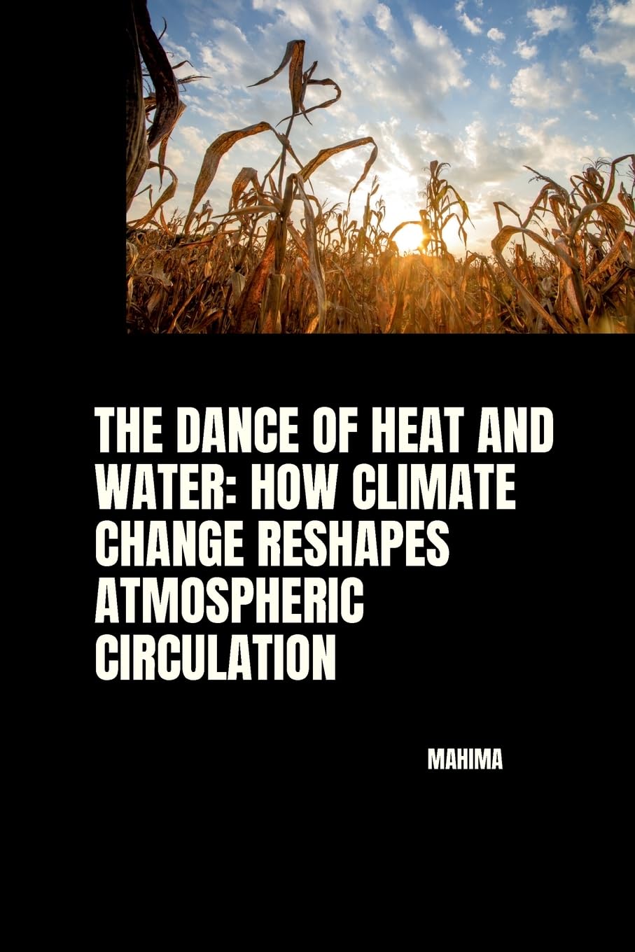 The Dance of Heat and Water: How Climate Change Reshapes Atmospheric Circulation: DE