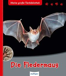 Die Fledermaus (Meine große Tierbibliothek)