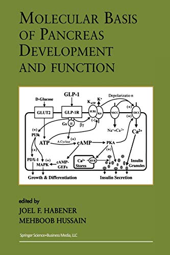 Molecular Basis of Pancreas Development and Function (Endocrine Updates, 11, Band 11)