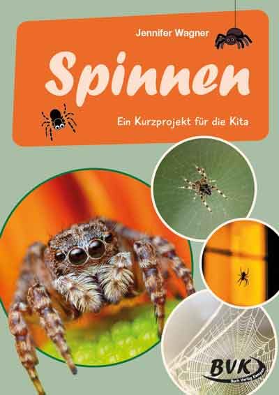 Spinnen: Ein Kurzprojekt für die Kita (BVK-Kurzprojekte)