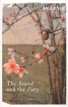 The Sound And The Fury (Vintage Classics)