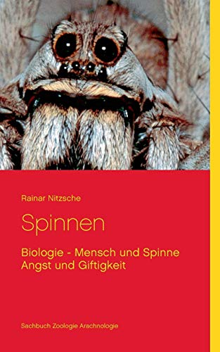 Spinnen: Biologie - Mensch und Spinne - Angst und Giftigkeit