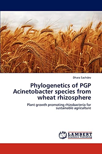 Phylogenetics of PGP Acinetobacter species from wheat rhizosphere: Plant growth promoting rhizobacteria for sustainable agriculture