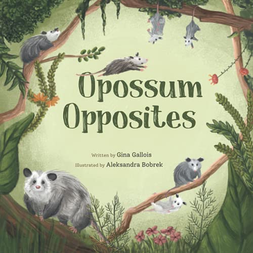 Opossum Opposites (Awesome Opossum Stories, Band 1)