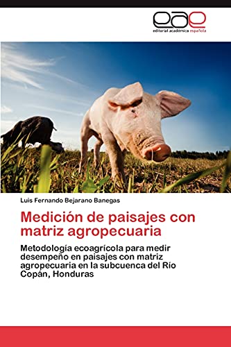 Medición de paisajes con matriz agropecuaria: Metodología ecoagrícola para medir desempeño en paisajes con matriz agropecuaria en la subcuenca del Río Copán, Honduras