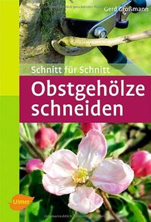 Obstgehölze schneiden: Schnitt für Schnitt