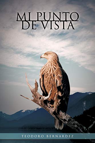 Mi punto de vista