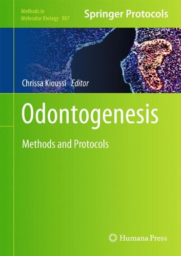 Odontogenesis: Methods and Protocols (Methods in Molecular Biology)