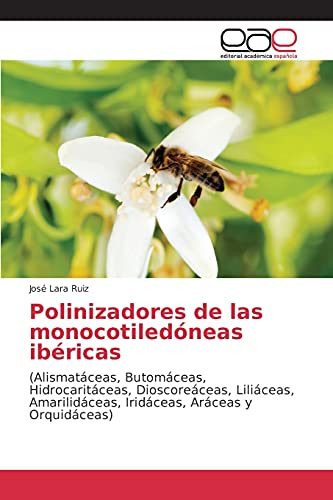 Polinizadores de las monocotiledóneas ibéricas: (Alismatáceas, Butomáceas, Hidrocaritáceas, Dioscoreáceas, Liliáceas, Amarilidáceas, Iridáceas, Aráceas y Orquidáceas)