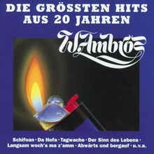 Die Größten Hits aus 20 Jahren von Ambros,Wolfgang | CD | Zustand gut