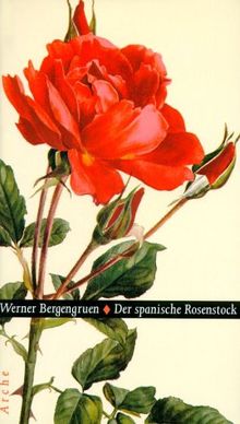 Der spanische Rosenstock