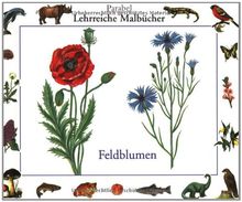Feldblumen