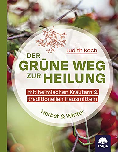 Koch, Judith: Der grüne Weg zur Heilung