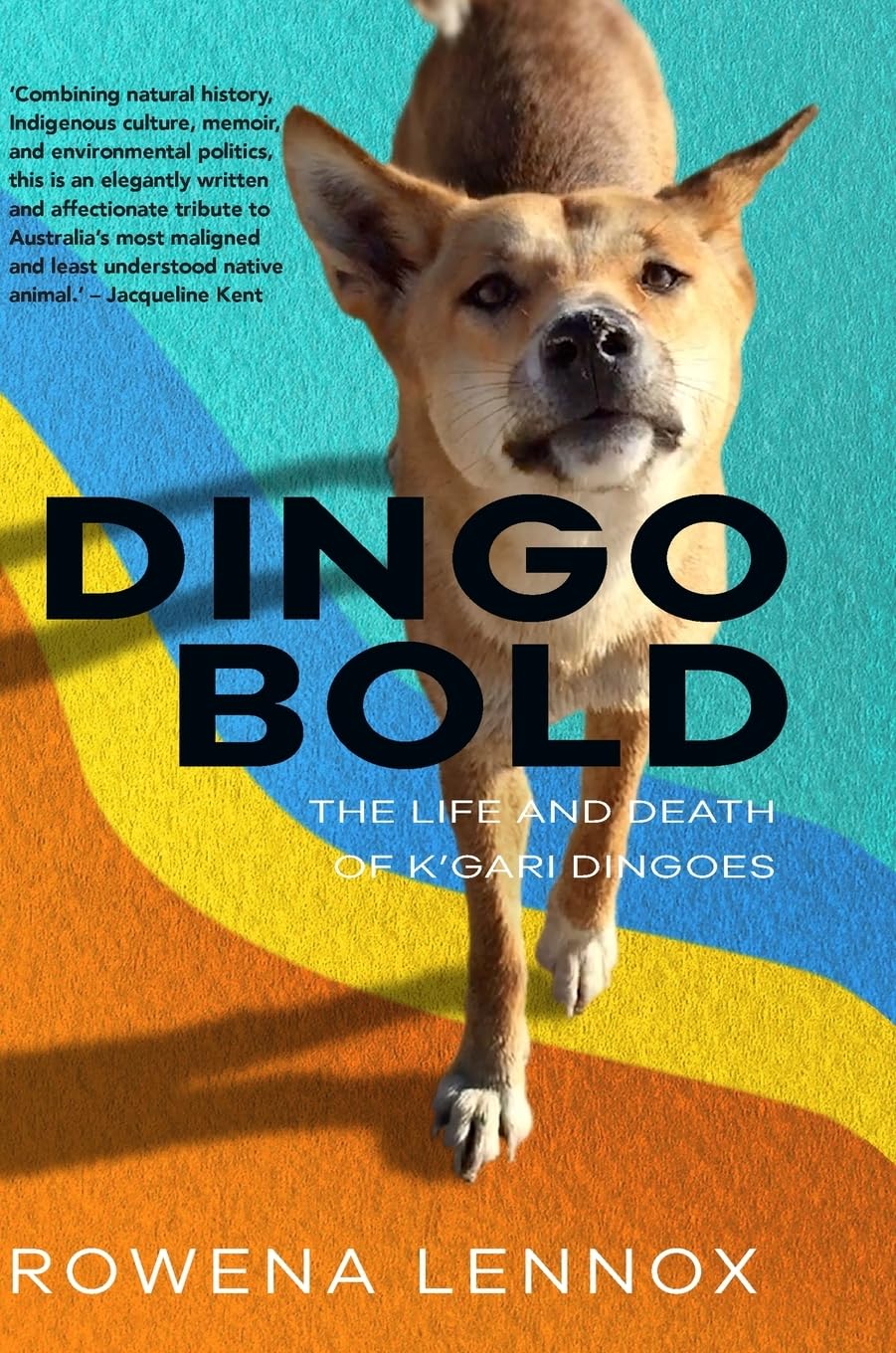 Dingo Bold: The Life and Death of K'gari Dingoes (Animal Publics)