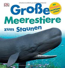 Große Meerestiere zum Staunen