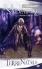 Les Royaumes oubliés - La Légende de Drizzt, tome 1 : Terre natale